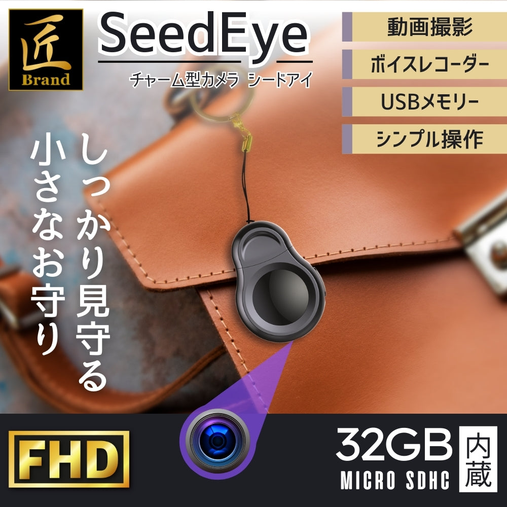 匠ブランド USB型　チャーム型　カメラ　超小型カメラ 小型カメラ FHD　高画質 長時間録画 隠しカメラ スパイカメラ 防犯カメラ カモフラージュ 『SeedEye』（シードアイ） TK-USB-12